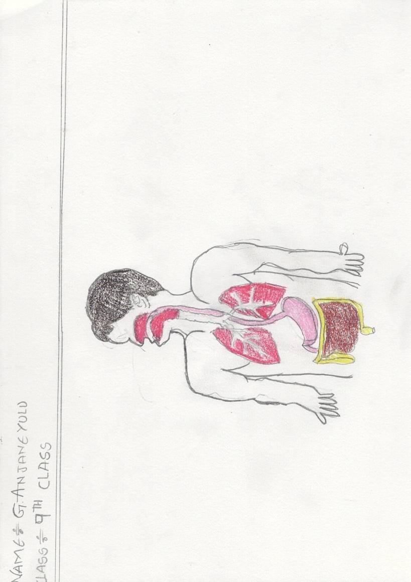 Ganeti’s Silent Anatomy.